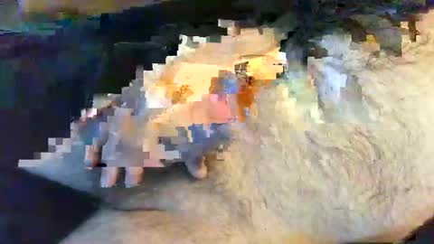 o269x2 online show from 30, 5, 2026