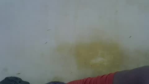 Paloma online show from 16, 5, 2026