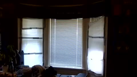 oscar flores online show from 6, 4, 2026