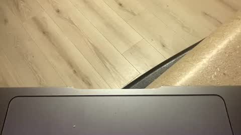 ofthatguy online show from 24, 10, 2025