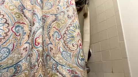 ogtripmushem online show from 15, 11, 2025