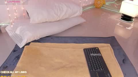 Snapshot of ohyesly_ chatting on 6, 1, 2026 ohyesly_ online show from 6, 1, 2026