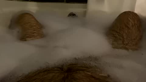 Snapshot of oldbones2 chatting on 17, 2, 2025 oldbones2 online show from 17, 2, 2025