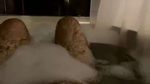 Snapshot of oldbones2 chatting on 24, 2, 2025 oldbones2 online show from 24, 2, 2025