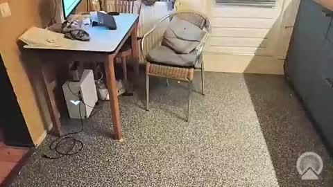 oldersagger online show from 5, 11, 2025