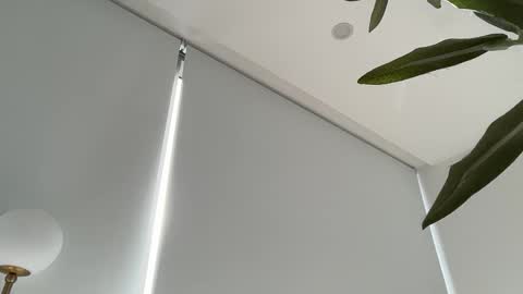 Snapshot of oliviabrookess chatting on 27, 11, 2025 Olivia Brookes online show from 27, 11, 2025