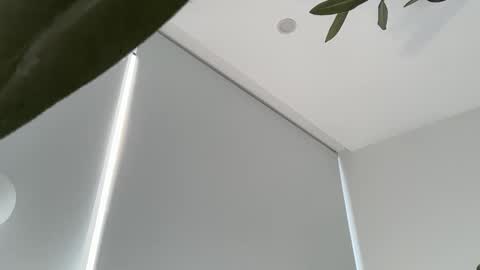 Snapshot of oliviabrookess chatting on 30, 11, 2025 Olivia Brookes online show from 30, 11, 2025