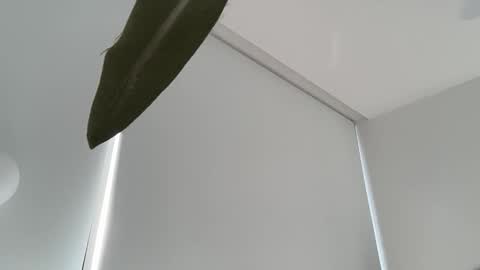 Snapshot of oliviabrookess chatting on 4, 12, 2025 Olivia Brookes online show from 4, 12, 2025