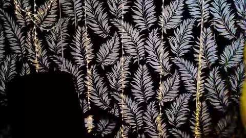 Kelly online show from 29, 11, 2025