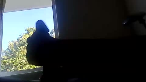 ootripoo online show from 19, 9, 2025