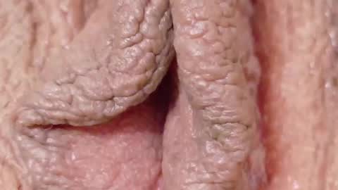 orchidekitty online show from 1, 2, 2026