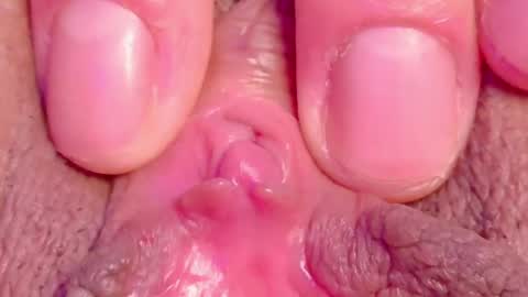 orchidekitty online show from 22, 5, 2026