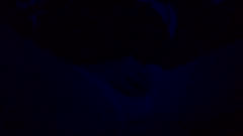 orgazim online show from 29, 10, 2025