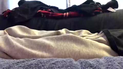 orgazim online show from 15, 11, 2025