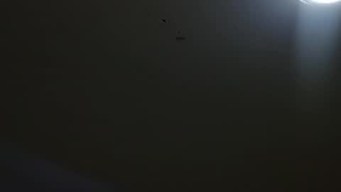 Snapshot of oriana_111 chatting on 4, 5, 2026 oriana_111 online show from 4, 5, 2026