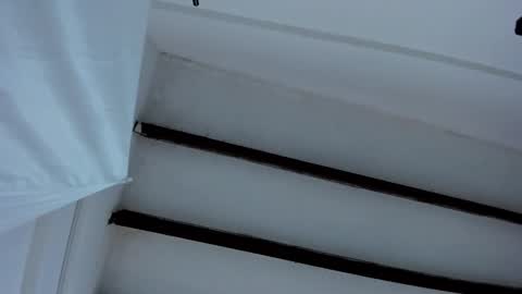 Miss Guzman  online show from 27, 1, 2025