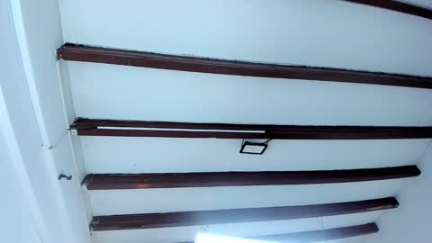 Miss Guzman  online show from 9, 2, 2025