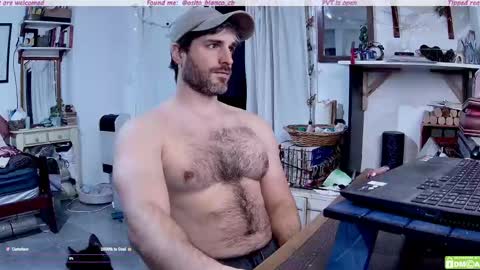 Osito Blanco online show from 20, 5, 2026