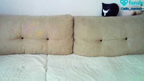 Ostin online show from 8, 3, 2025