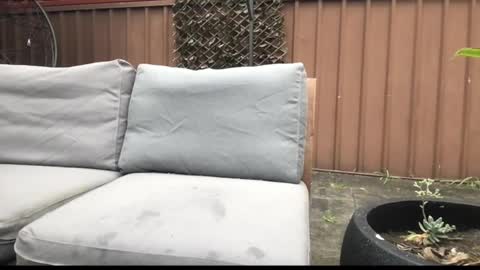 Hrny aussie surfer online show from 27, 9, 2025