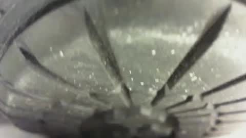 Pablo Meness online show from 24, 1, 2025