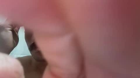   PALA online show from 16, 1, 2026