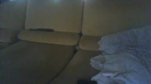 Snapshot of pallavolista73 chatting on 4, 7, 2026 pallavolista73 online show from 4, 7, 2026