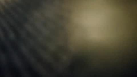 Snapshot of pals199301 chatting on 23, 11, 2025 pals199301 online show from 23, 11, 2025