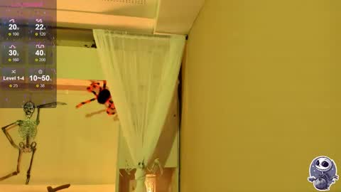  P A M  online show from 12, 10, 2025