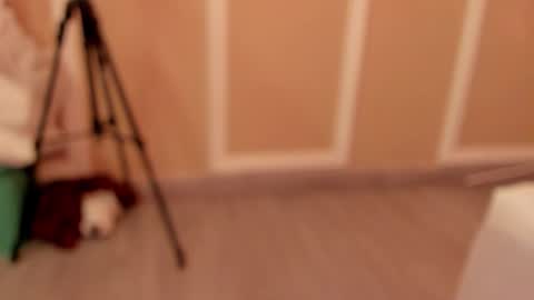 Snapshot of pamelamendez_1 chatting on 27, 2, 2026 pamelamendez_1 online show from 27, 2, 2026