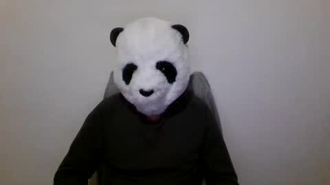 Panda online show from 7, 12, 2024