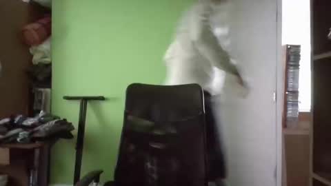 Snapshot of papitowilly999 chatting on 11, 3, 2025 Papito online show from 11, 3, 2025