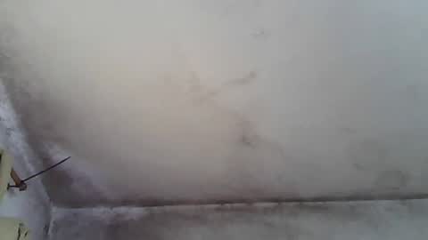 Snapshot of pareja201722 chatting on 31, 12, 2024 pareja201722 online show from 31, 12, 2024