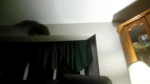 Snapshot of part86 chatting on 26, 1, 2025 part86 online show from 26, 1, 2025