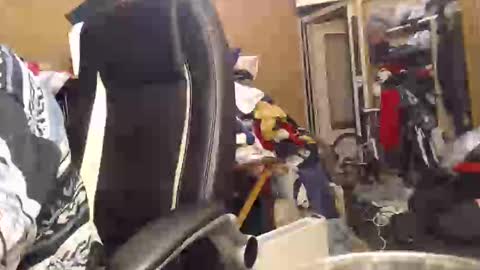 Snapshot of pascal88881 chatting on 2, 12, 2024 pascal88881 online show from 2, 12, 2024