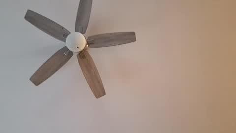 Snapshot of patrick247288 chatting on 12, 1, 2025 patrick247288 online show from 12, 1, 2025