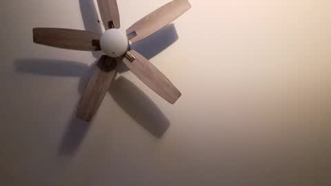 Snapshot of patrick247288 chatting on 9, 9, 2025 patrick247288 online show from 9, 9, 2025