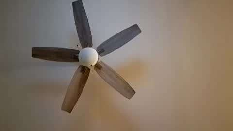 Snapshot of patrick247288 chatting on 7, 11, 2025 patrick247288 online show from 7, 11, 2025