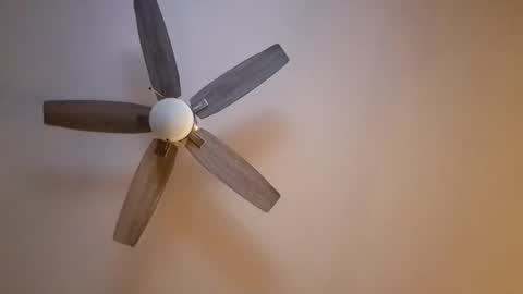 Snapshot of patrick247288 chatting on 16, 11, 2025 patrick247288 online show from 16, 11, 2025