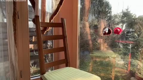 Andreea online show from 16, 3, 2026