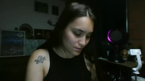 Snapshot of pau_cat chatting on 1, 6, 2026 Pau online show from 1, 6, 2026