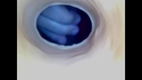 Snapshot of paulainoscente chatting on 2, 11, 2025 Paula 18 Aninhos online show from 2, 11, 2025