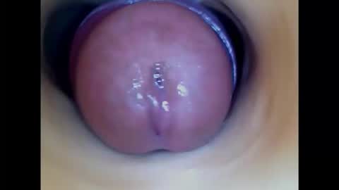 Snapshot of paulainoscente chatting on 18, 11, 2025 Paula 18 Aninhos online show from 18, 11, 2025