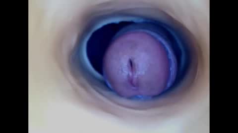 Snapshot of paulainoscente chatting on 14, 12, 2025 Paula 18 Aninhos online show from 14, 12, 2025