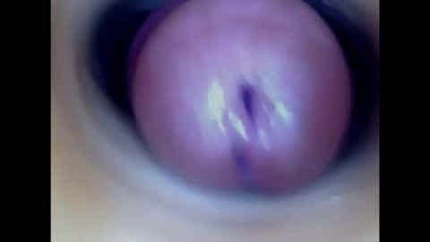 Paula 18 Aninhos online show from 7, 2, 2026