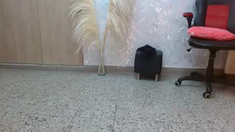 Paulina Rubio online show from 7, 12, 2024