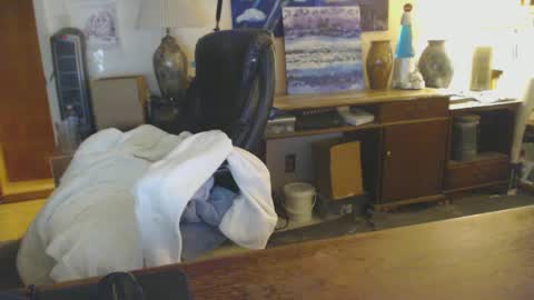 paulleroy online show from 25, 1, 2025