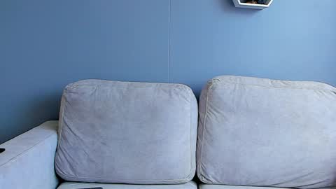 Snapshot of paulphoenix_ chatting on 2, 1, 2025 Paul Phoenix online show from 2, 1, 2025