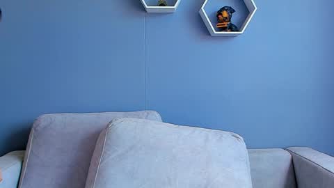 Snapshot of paulphoenix_ chatting on 13, 1, 2025 Paul Phoenix online show from 13, 1, 2025