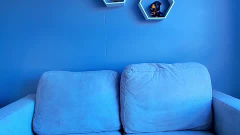 Snapshot of paulphoenix_ chatting on 5, 10, 2025 Paul Phoenix online show from 5, 10, 2025